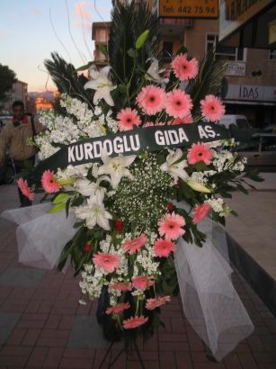 kazablanka,gerbera,sebboy ferforje  stanbul beikta ieki maazas 